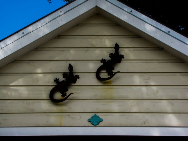 Cost of Shiplap Siding Installation in Yakima